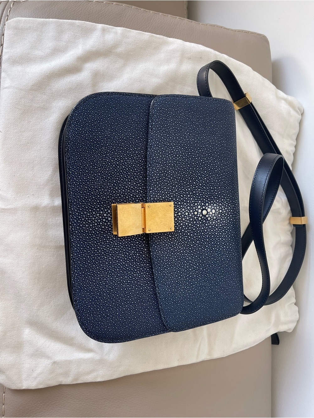 Navy Stingray-Texture Crossbody Bag with Gold Hardware